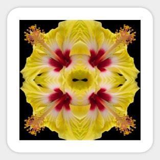 Flower photography pattern Sticker